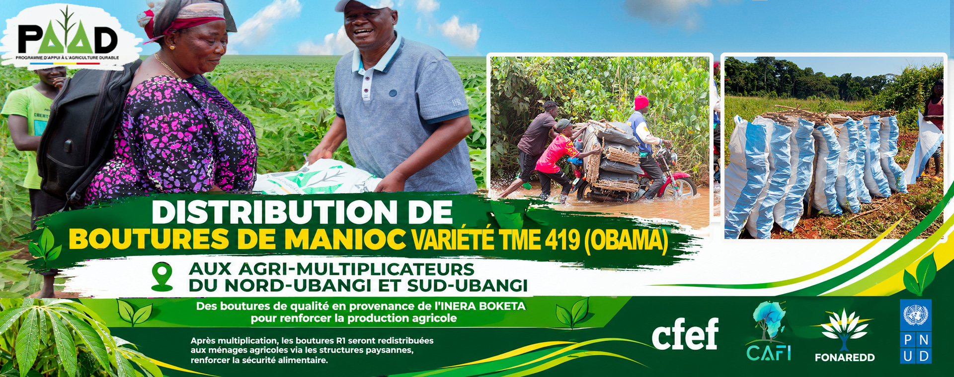 PAAD : La CFEF lance la distribution des semences dans ses 7 zones d’intervention