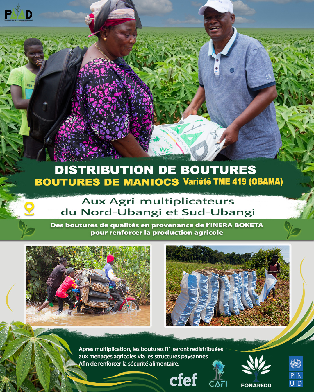 PAAD : La CFEF lance la distribution des semences dans ses 7 zones d’intervention